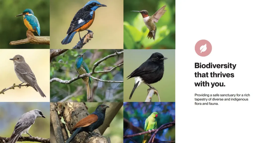 Assetz City of Palms Plots biodiversity by Assetz Property Group located at IVC Road, Devanahalli, Bangalore Karnataka